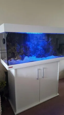 tank3.webp