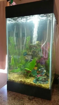 Fish Tank Pict 2 compressed_kindlephoto-296771381.webp