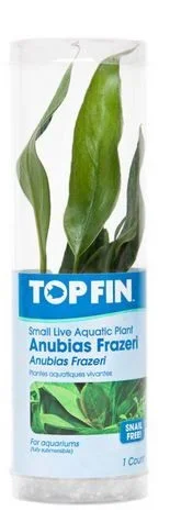 TFwGel.webp