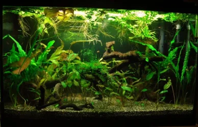 29g Mar 24-11 (2).webp