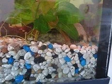 IMG_1823b.webp