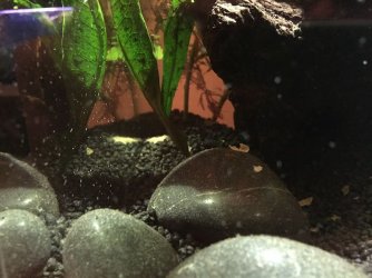 2016-05-01 22.31.59.jpg 2016-05-01 22.31.59.jpg