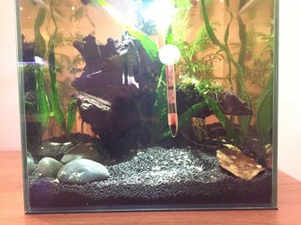 2016-05-01 22.35.13.jpg 2016-05-01 22.35.13.jpg