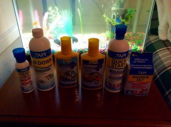 fish treatments.jpg fish treatments.jpg