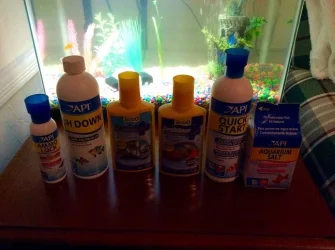 fish treatments.webp fish treatments.webp