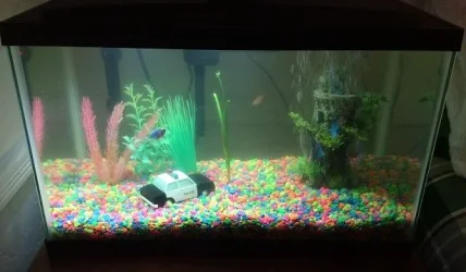 Tank setup.webp