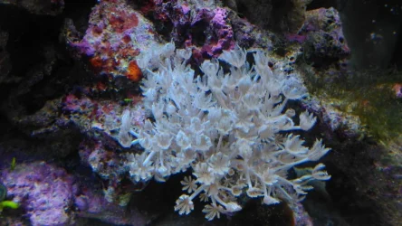 IMAG0179.webp