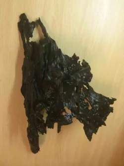 pod wood 1.webp pod wood 1.webp