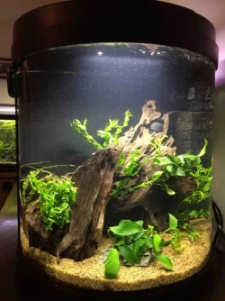 7 New tank FTS.webp