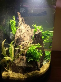 8 Tank Side shot.webp