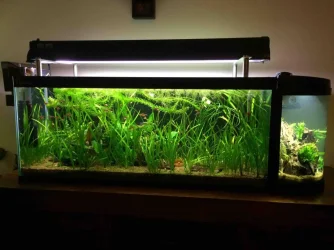 12 Full Tanks Shot.webp