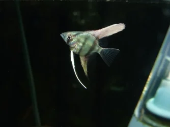 DSCF9578.webp