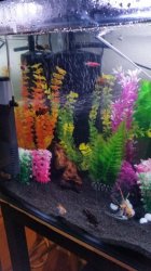 20160523_001604.jpg 20160523_001604.jpg