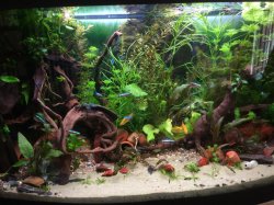 IMG_2930.JPG IMG_2930.JPG