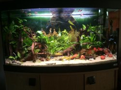 IMG_2879.JPG IMG_2879.JPG