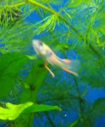 IMG_20160617_214234~01.jpg