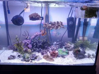 new_tank4.webp