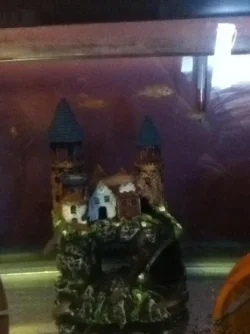 castle.webp castle.webp