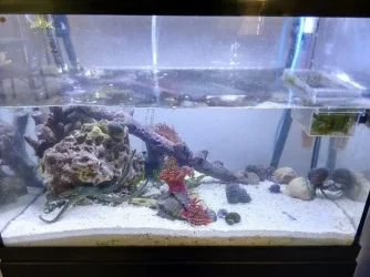tidal_tank_sm.webp