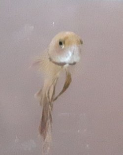 20160715_120608.jpg
