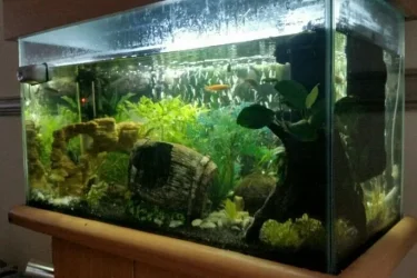 2016-08-01 19.54.07.webp