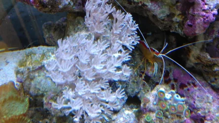 IMAG0352.webp