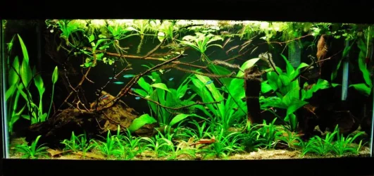 40g Aug 16-16.webp