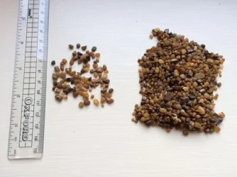 Gravel.webp