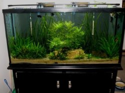 14 - transition -w.jpg