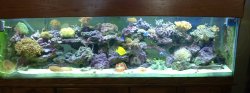Tank_photos_2_009.jpg
