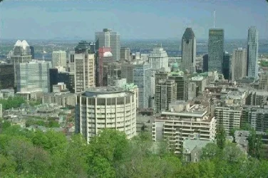 montrealpic.webp