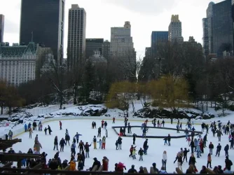 newyork09_wollmanrink.webp