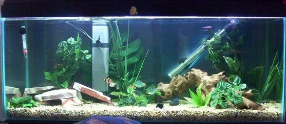tank3ft.webp