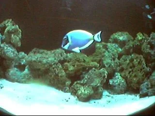 0310222243.webp