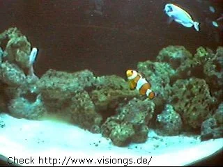 0310222641.webp