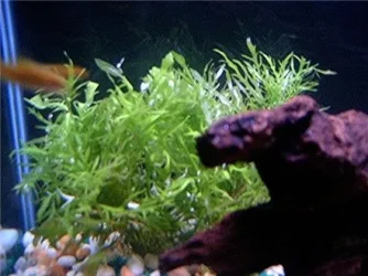 fishpics_019.webp