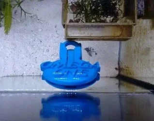 algae_clip_sm.webp