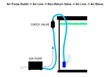 Non return valve setup.webp