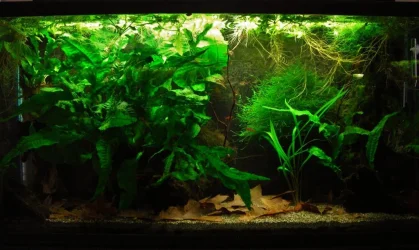 33g Feb 24-15.webp