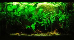 33g Feb 14-16.JPG