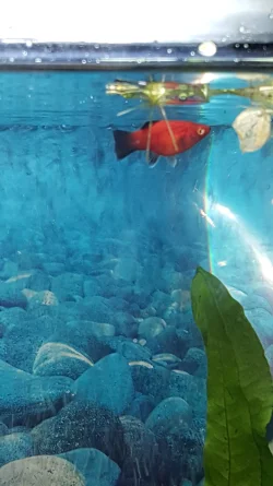 20160929_163523.webp