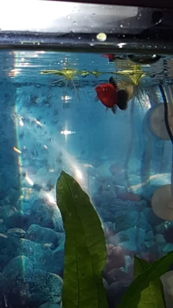 20160929_163433.webp