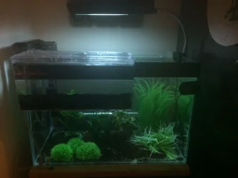 temp tank.webp temp tank.webp