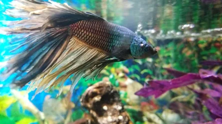 20161023_083652.webp