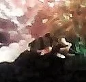 WIN_20161025_21_07_15_Pro.webp