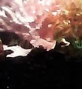WIN_20161025_21_07_27_Pro.webp