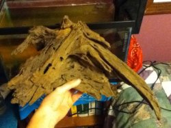 driftwood.jpg driftwood.jpg