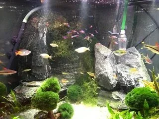 image3.webp