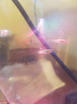 20161216_134056.jpg
