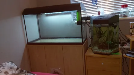 Fish Tank.webp